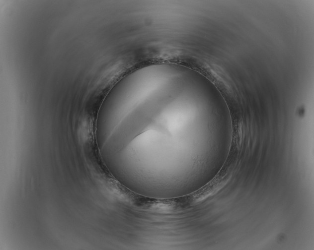 X0000091500236200708161505