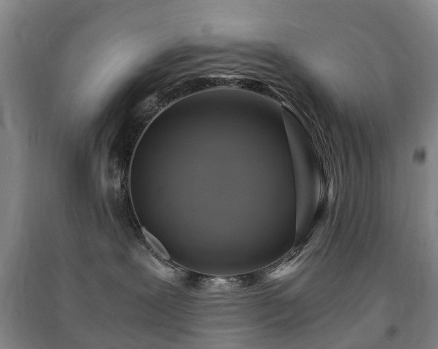 X0000091500239200708161505