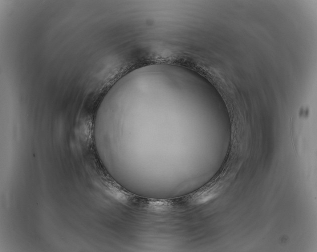 X0000091500240200708161505