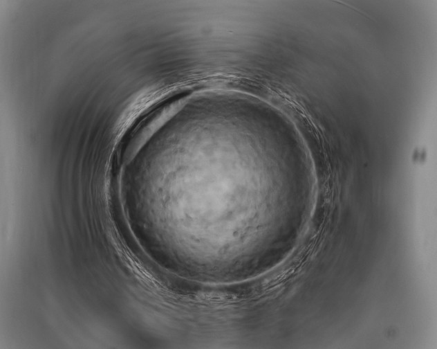 X0000091500242200708161504
