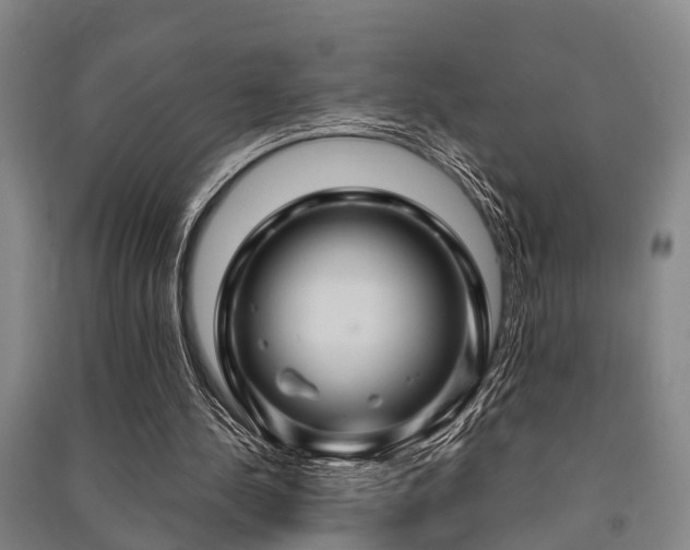 X0000091500244200708161504