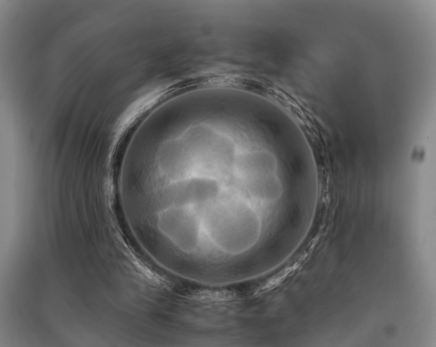 X0000091500245200708161504