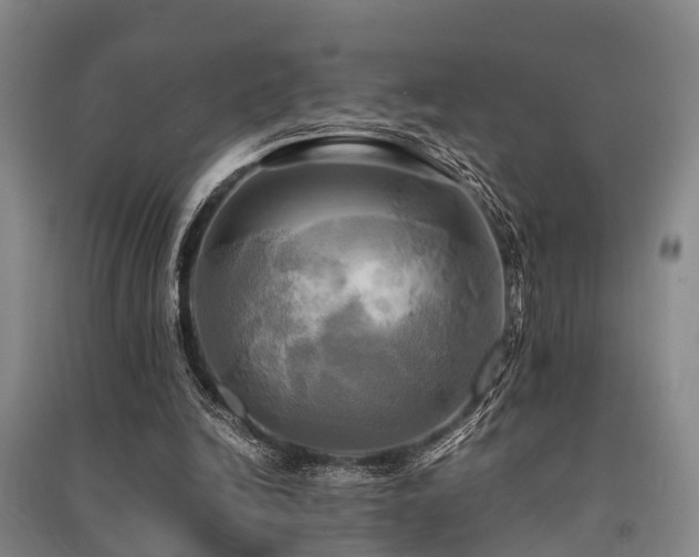 X0000091500246200708161504