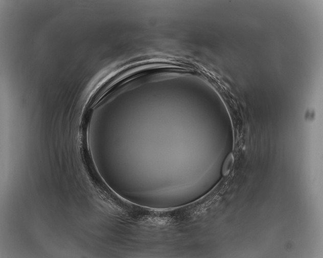 X0000091500247200708161504