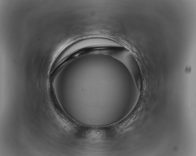 X0000091500248200708161504