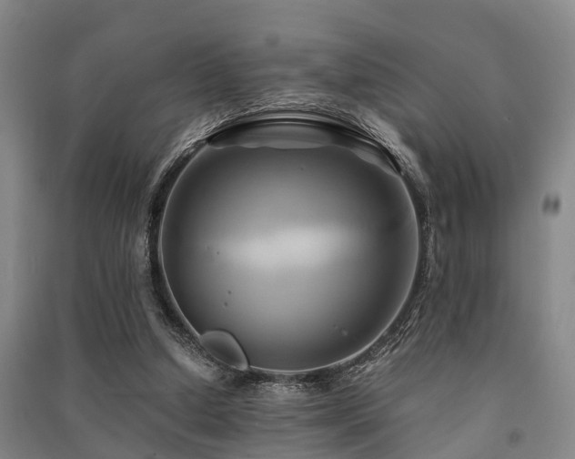X0000091500250200708161504