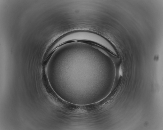 X0000091500252200708161504