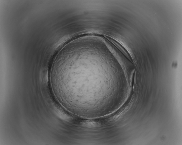 X0000091500253200708161504