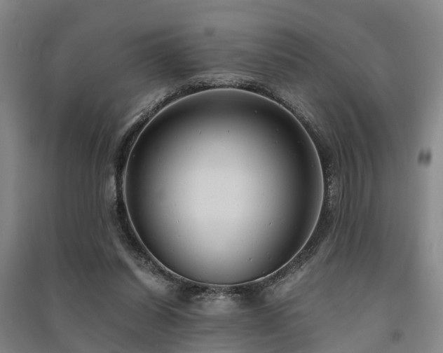 X0000091500254200708161504