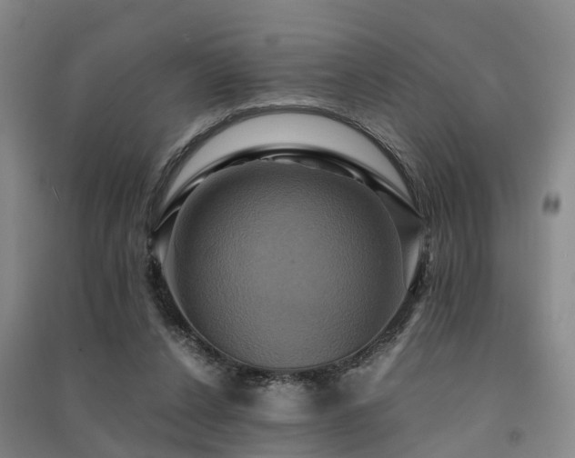 X0000091500256200708161504