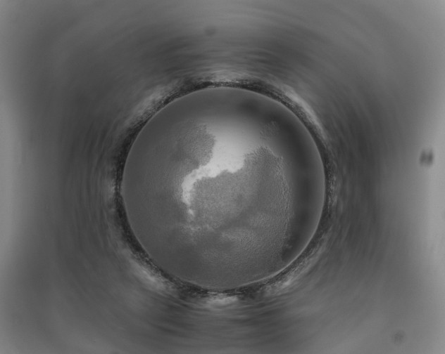 X0000091500257200708161504