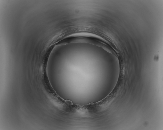 X0000091500258200708161504