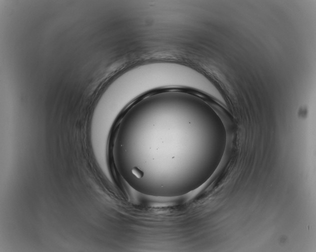 X0000091500260200708161504