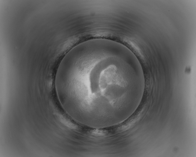 X0000091500261200708161505