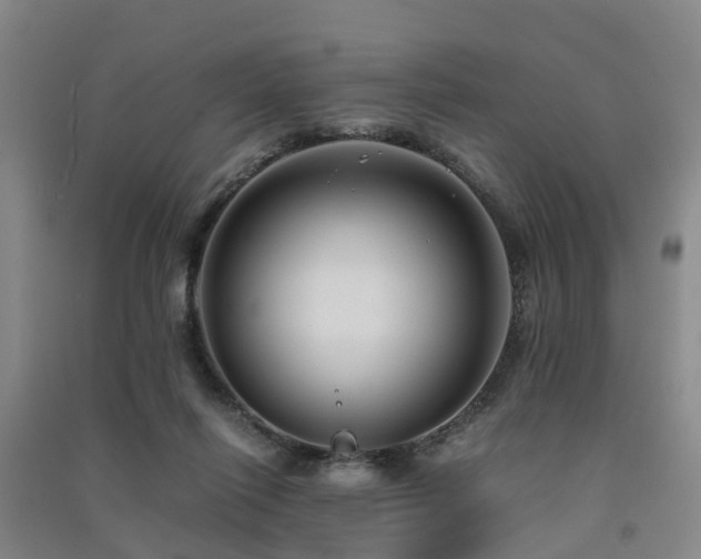 X0000091500262200708161505
