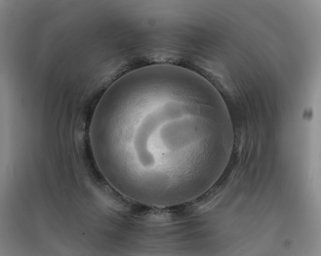 X0000091500263200708161505
