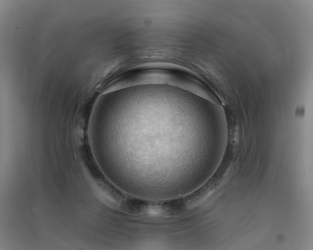 X0000091500264200708161505