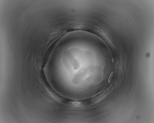 X0000091500265200708161505