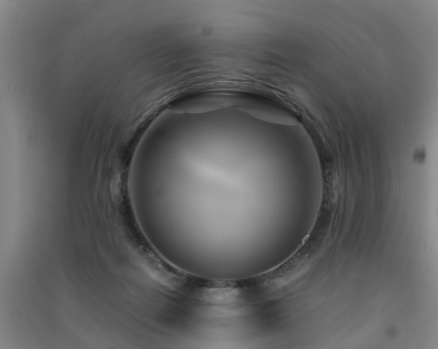 X0000091500266200708161505
