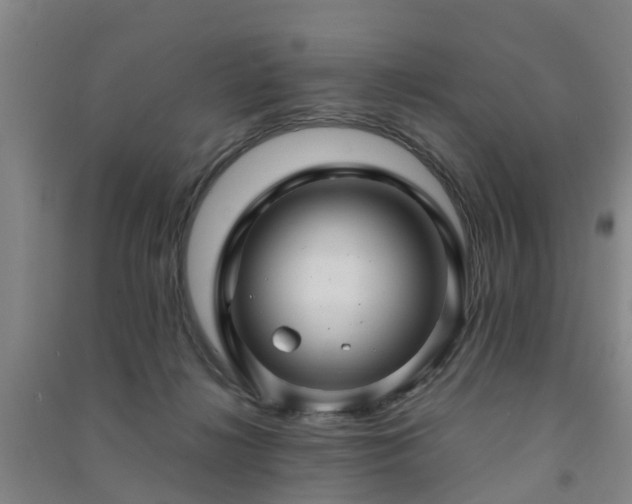 X0000091500268200708161505