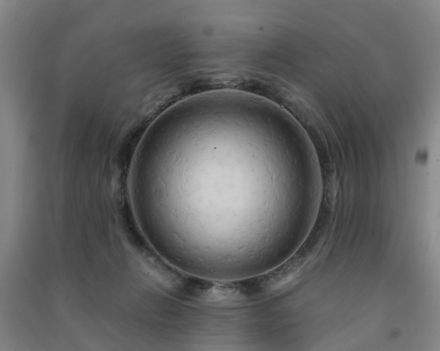 X0000091500270200708161505