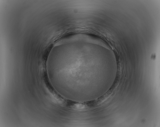 X0000091500272200708161505