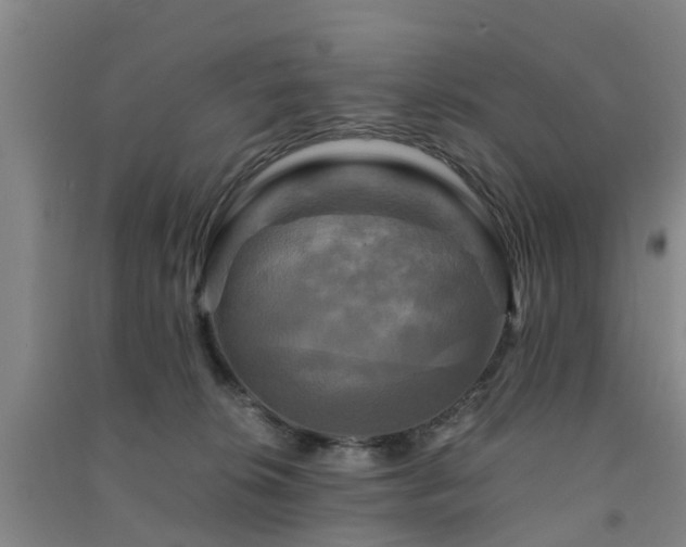 X0000091500276200708161505