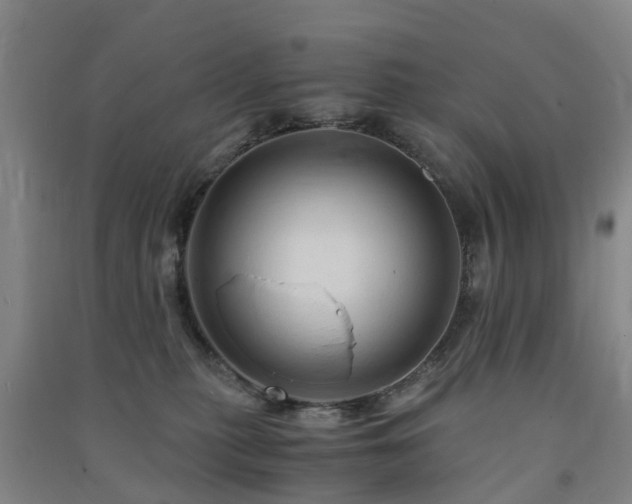 X0000091500279200708161505