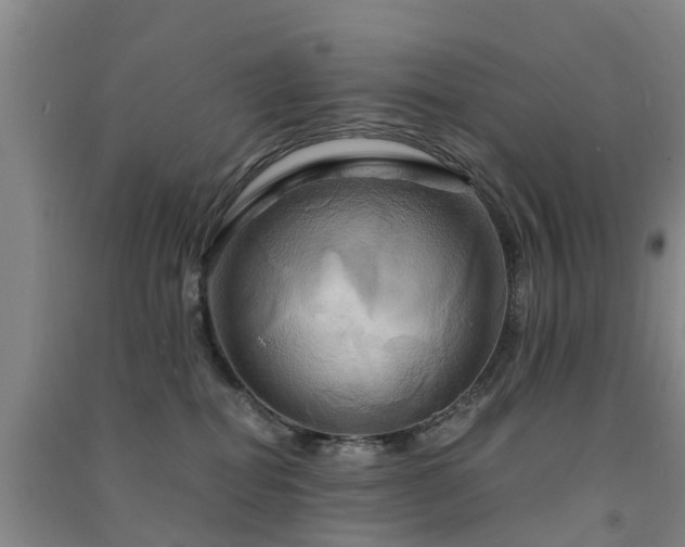 X0000091500282200708161505