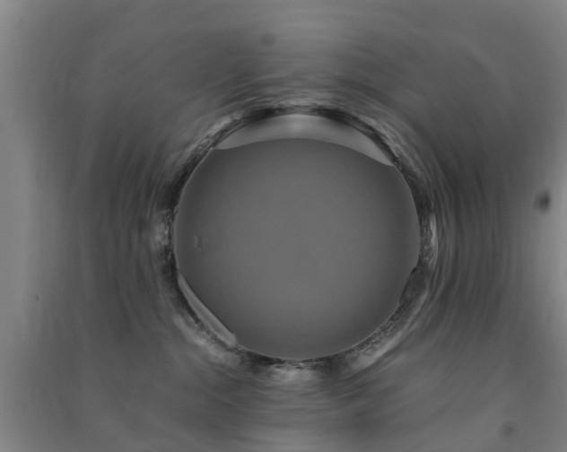 X0000091500284200708161505