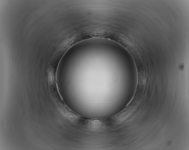 X0000091500287200708161505