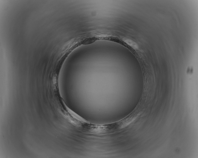 X0000091500288200708161505