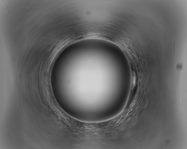 X0000091500289200708161504