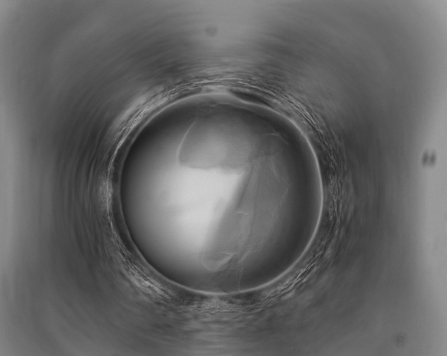X0000091500290200708161504