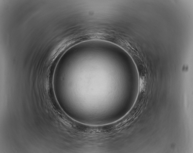 X0000091500291200708161504
