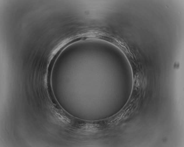 X0000091500292200708161504