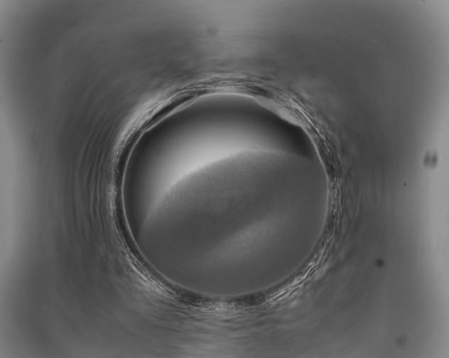 X0000091500293200708161504