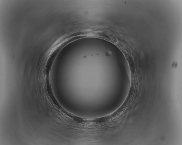 X0000091500295200708161504