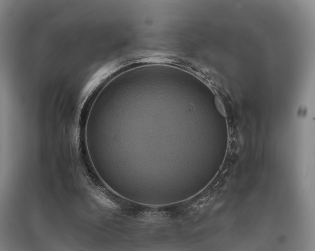 X0000091500296200708161504