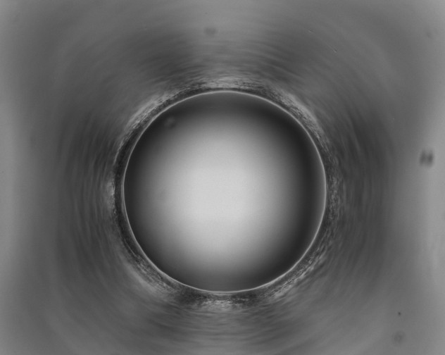 X0000091500298200708161504