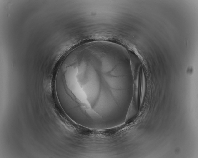 X0000091500299200708161504