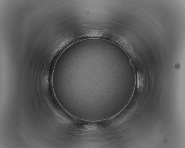 X0000091500300200708161504