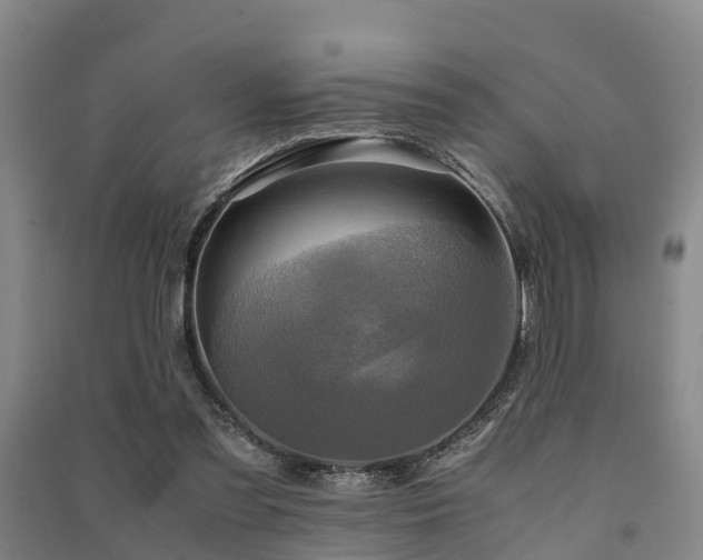 X0000091500301200708161504