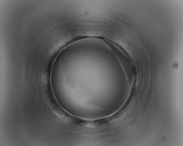 X0000091500303200708161504