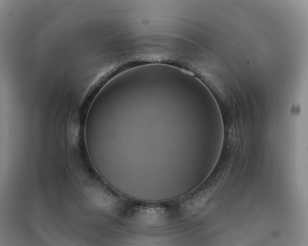 X0000091500304200708161504