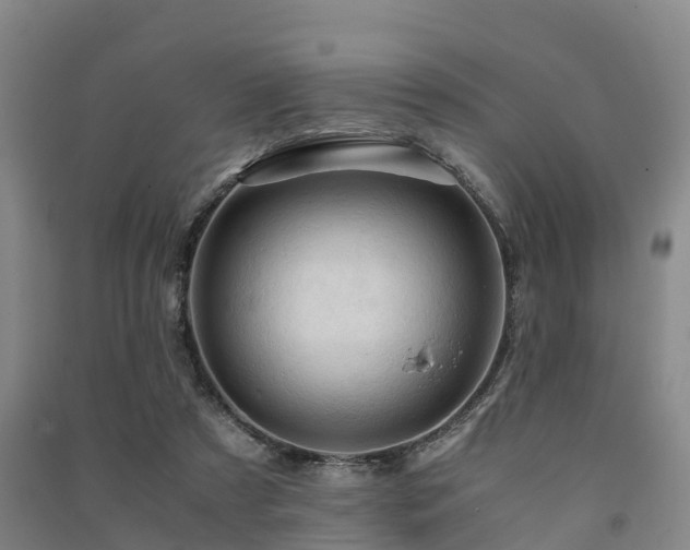 X0000091500305200708161504