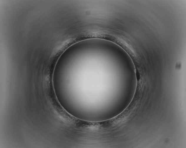 X0000091500306200708161504