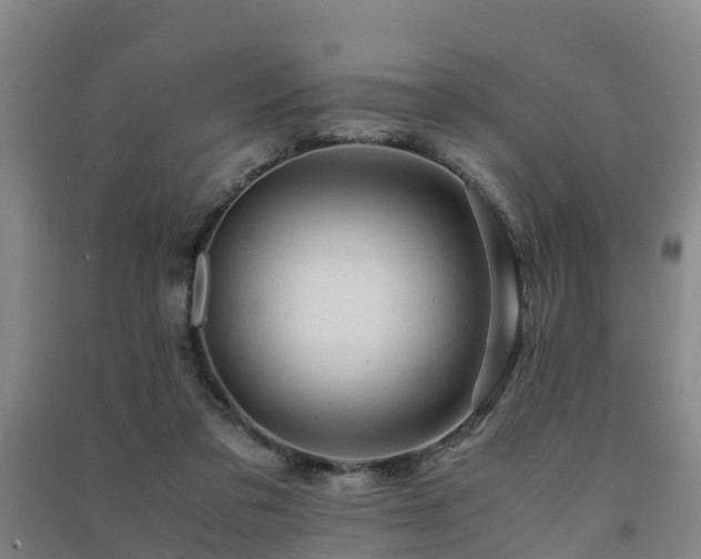 X0000091500309200708161504