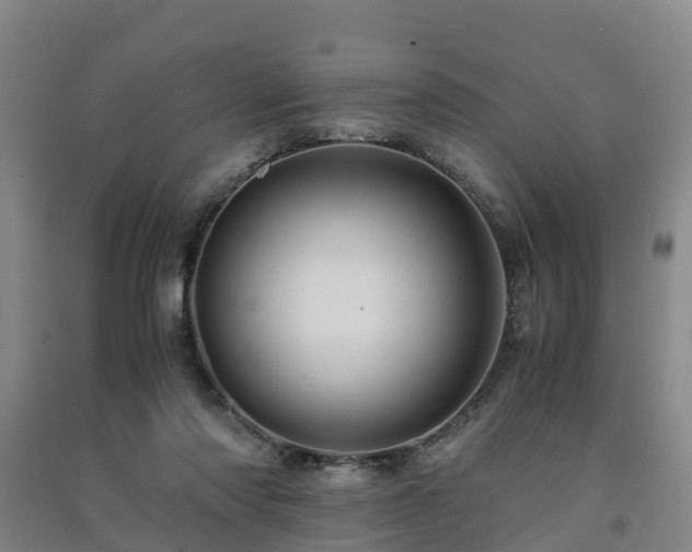X0000091500310200708161504