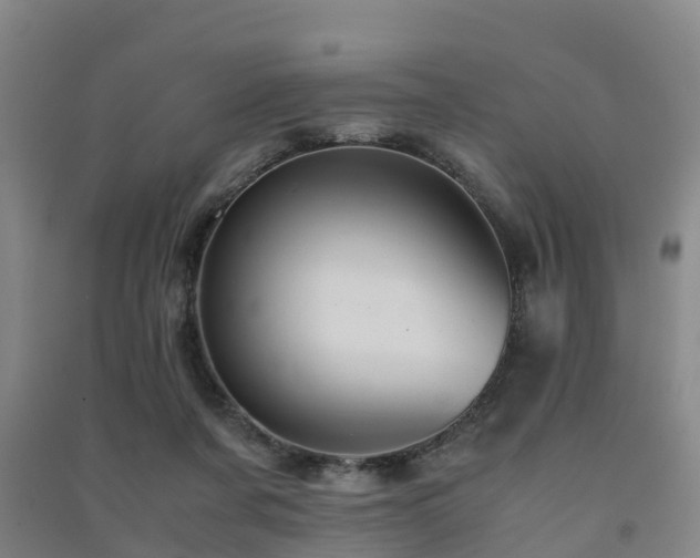 X0000091500311200708161504